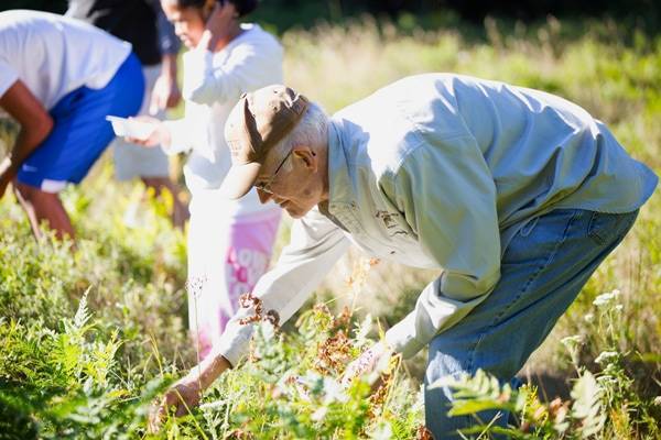 An old man bending down and gardening with other people on a field.